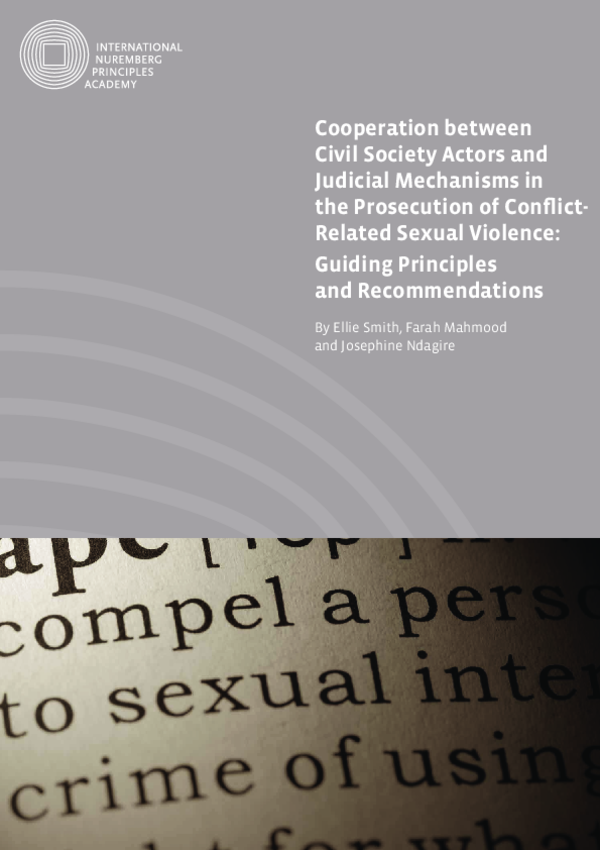 Guiding Principles and Recommendations on Conflict-Related Sexual Violence